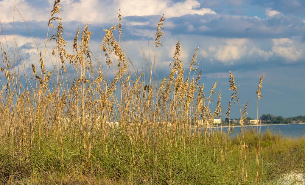 Minorga On The Key By Beachside Management Siesta Key Exteriör bild